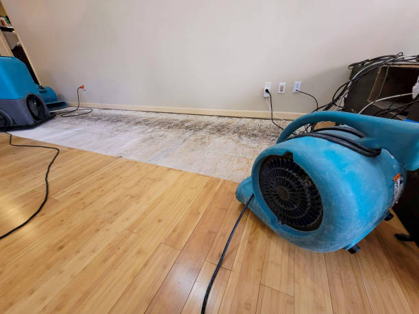 Professional Flood Damage Cleanup technician working in Tripoli, IA